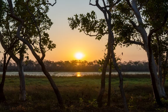 The natural surrounds of the 2023 Strong Women for Healthy Country Forum