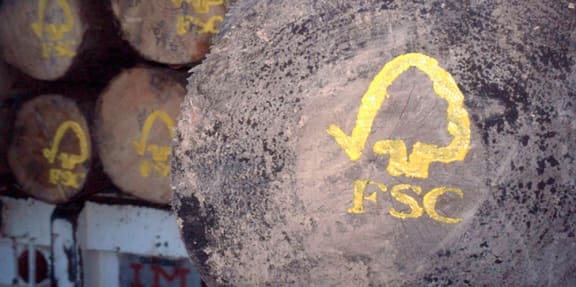 FSC logo painted on sustainable harvested logs
