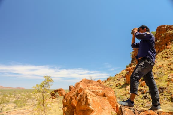 Nyikina Mangala Rangers working to protect Black Flanked Rock Wallaby