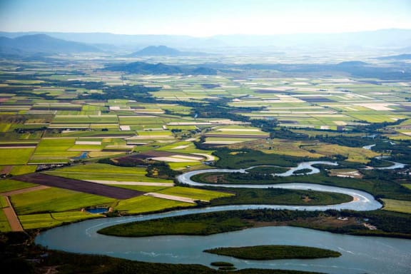 Aerial view of the sugar cane fields in the Mackay region, Queensland, June 2013