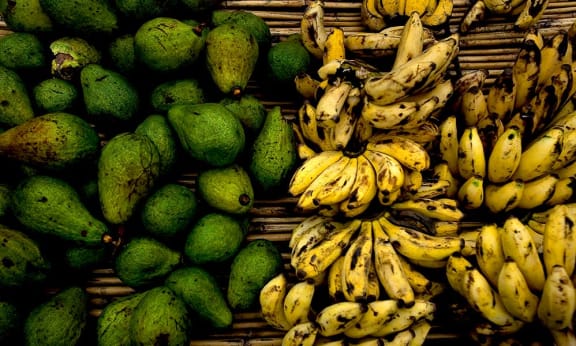 Bananas and avocados, Democratic Republic of Congo