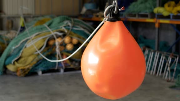 'Pinkies' or 'Windy Buoys' as they are also known, have been shown to reduce seabird interactions by up to 75%.