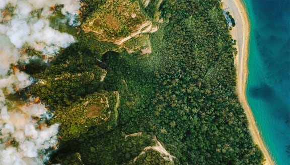 Aerial view of a fire in the forest and the beach and ocean