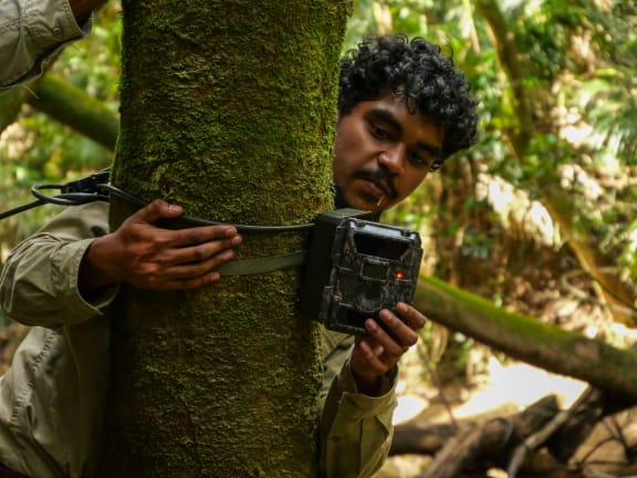 Djabugay Bulmba Ranger Caesar Hunter checks a trail camera.