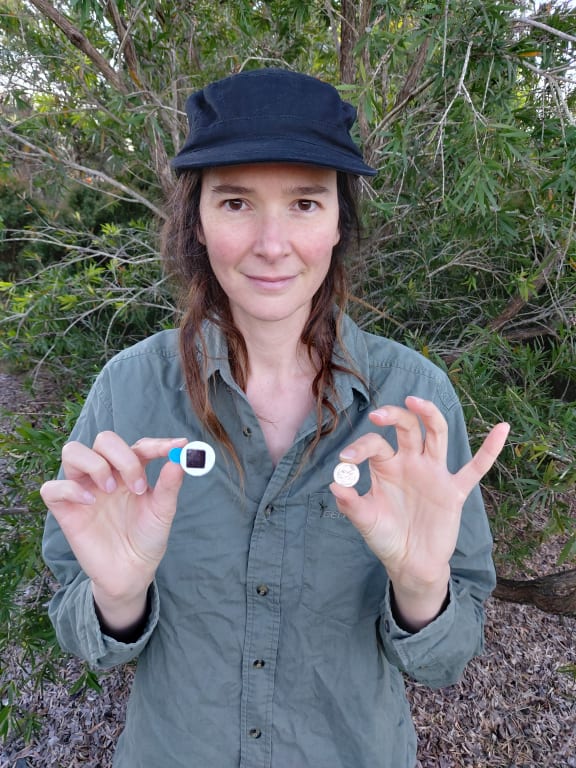 Dr Cristescu with a Solar VHF tag