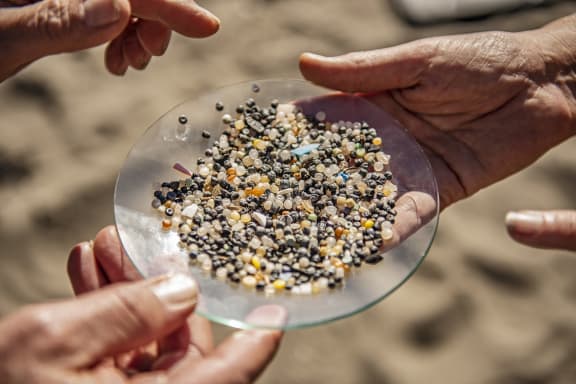 Microplastics collected in the UK