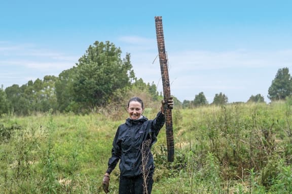 Plant holder stack showing how many trees were planted that day
