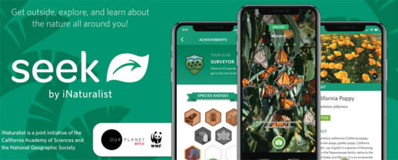 Promotion for Seek by iNaturalist app