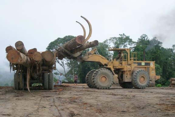 Trees from logging are stacked on a transport truck