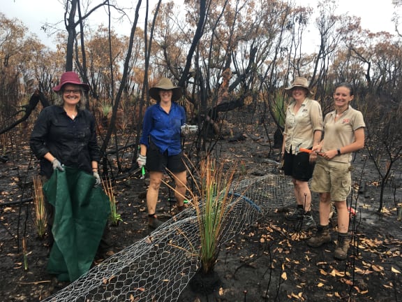 Building a shelter tunnel within the burnt critical habitat for the Kangaroo Island dunnart