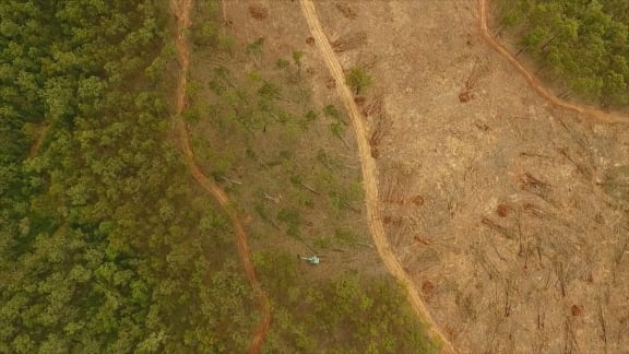 Tree clearing for urban expansion near Ipswich, Southeast Queensland