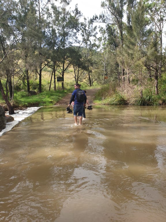 Natalya and Tracy walking across the first creek, Mount Barney.