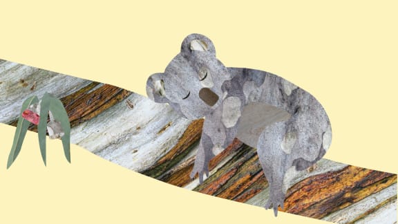 Illustration of a koala sleeping in a tree