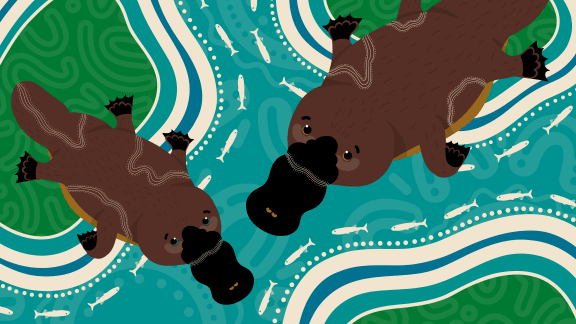Kamilaroi artist Teagan Malcolm's depiction of the platypus.