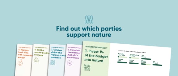 infographic web banner for WWF-Australia 2025 Nature Commitment Survey. 5 scorecards with results from the nature commitment survey against a light blue background.