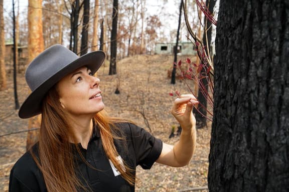 Bushfire aftermath at Batemans Bay, NSW