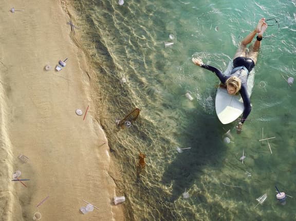 Don't let nature go to waste campaign