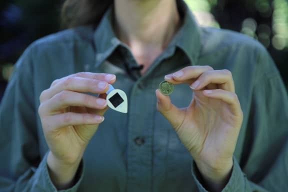 VHF solar ear tag