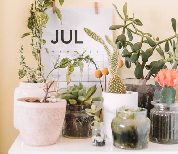 Plastic free July calendar