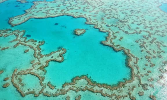 Aerial view of Heart reef in the Great Barrier Reef