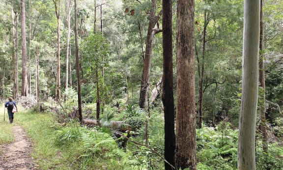 One of the stunning landscapes in Mount Barney National Park
