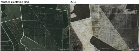 Google Earth image of Yanchep pine plantations= Western Australia in 2002 and 2016