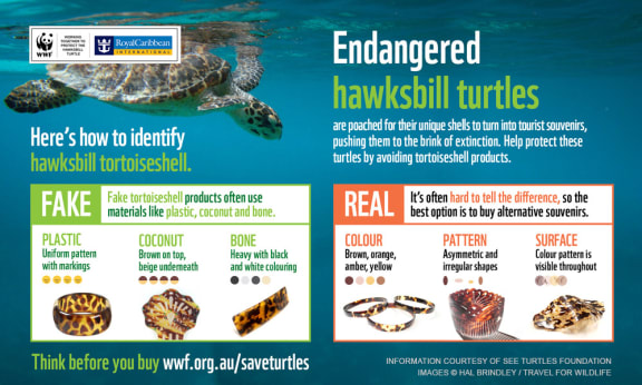 How to identify fake vs real tortoiseshell