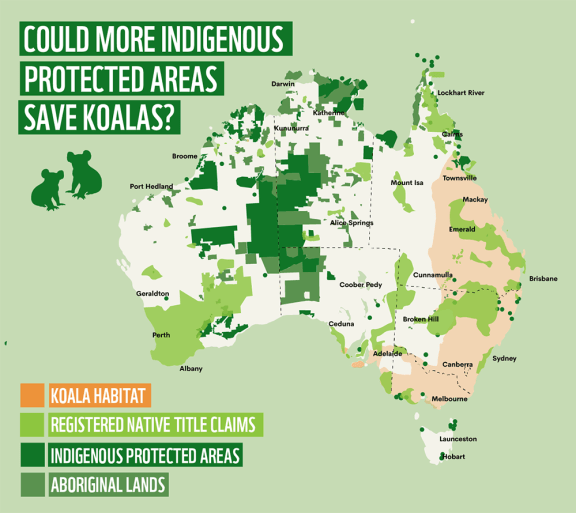 Map of Australia showing the location of Indigenous Protected Areas, existing registered Native Title claims, and viable koala habitat. For thousands of years Aboriginal and Torres Strait Islander people have cared for Country and culture through deep knowledge and strong land and sea management practices. This commitment and care continues today alongside successful claims of Native Title.