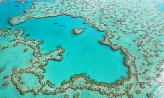 Aerial view of Heart reef in the Great Barrier Reef