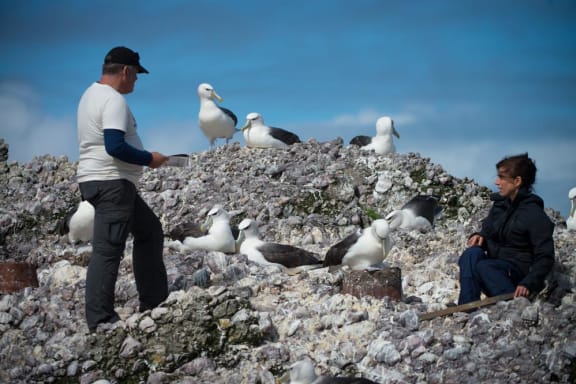 Darren Grover and Dr Rachael Alderman doing research on Albatross Island