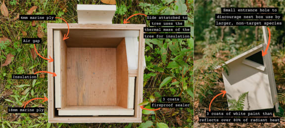 Infographic of greater glider nest box materials