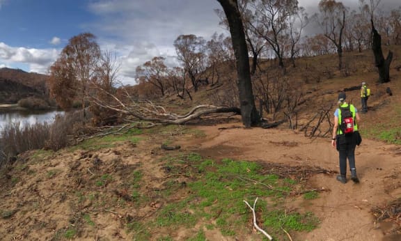 Wildcare Queanbeyan members out in-the-field practicing social distancing
