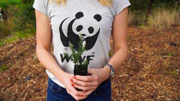 Community Tree Planting at Cook Reserve Ruse= Campelltown
