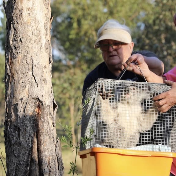 Marilyn and Petrina preparing Raine for her release