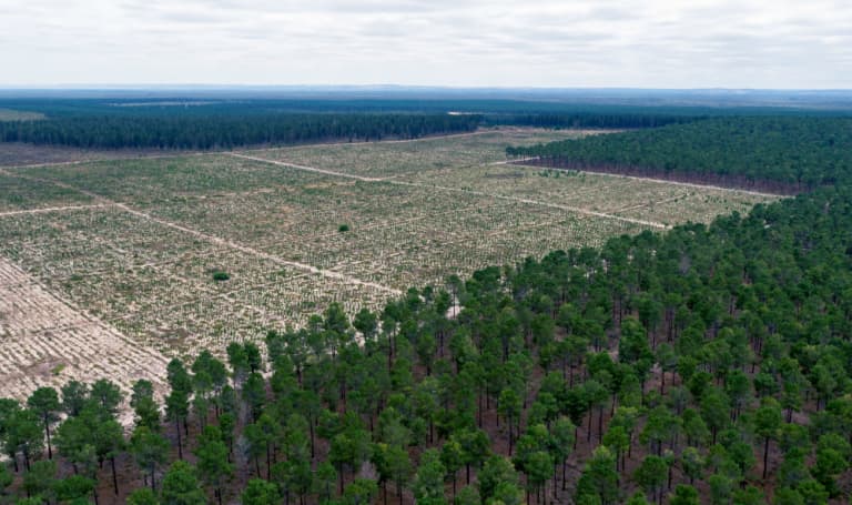 Aerial view cleared pine plantations in Gnangara-moore River State Forest. Yanchep= Western Australia= February 2017