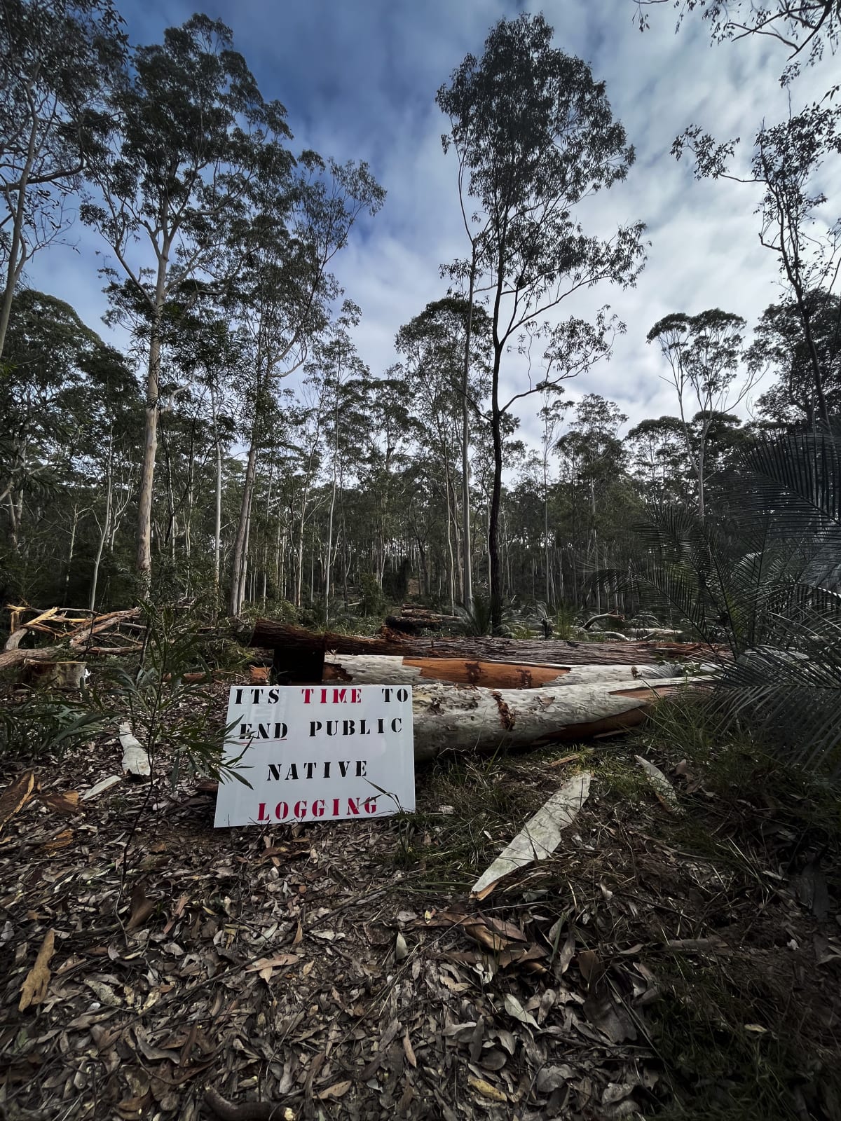 Forest debris and logs from logging less than 500m away from Aboriginal environmental leader  Takesa Frank’s family home.