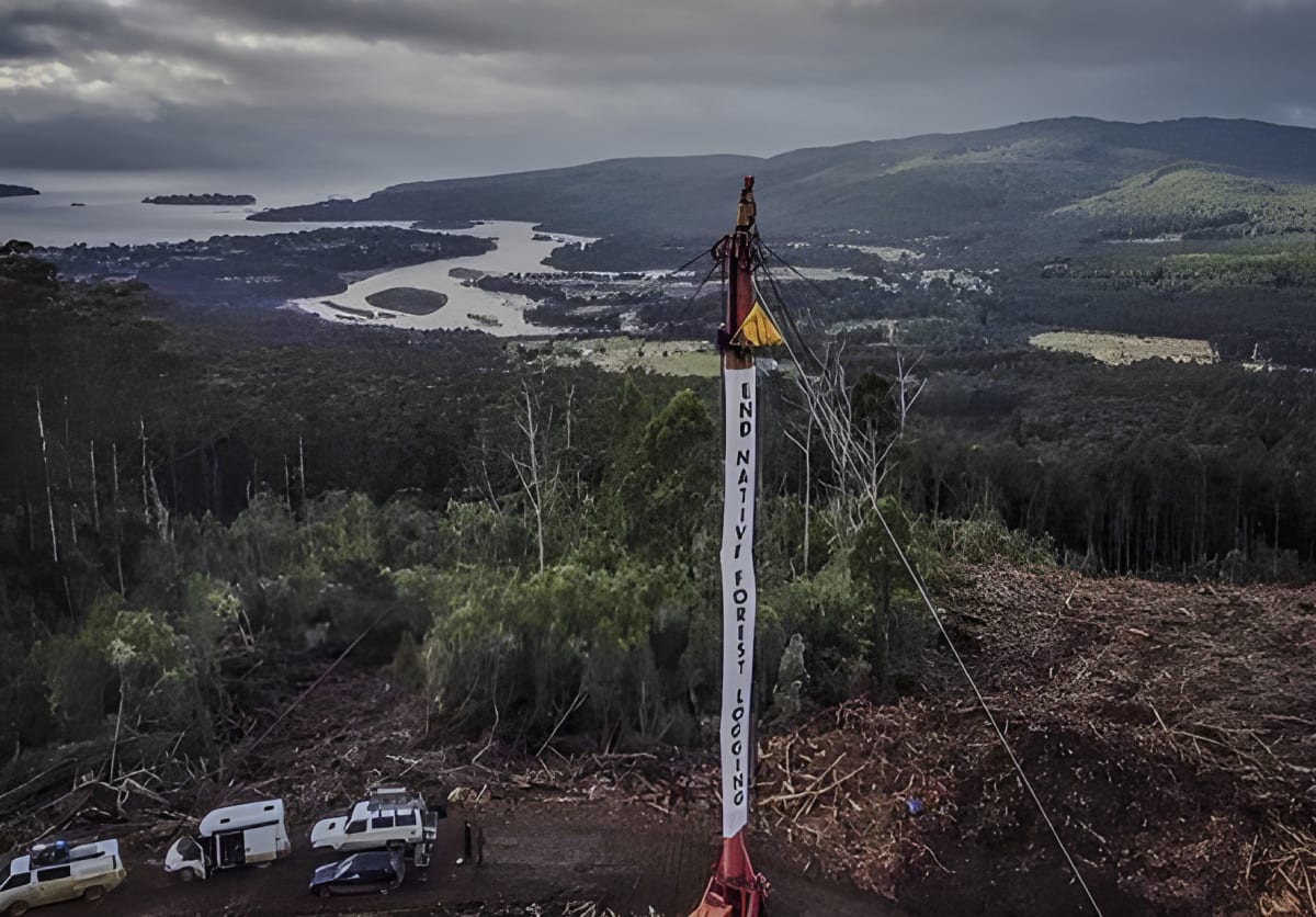 A protest Takesa Frank attended in Lutruwita, Tasmania, in 2023 with the Bob Brown Foundation. This protest halted logging for two days.
