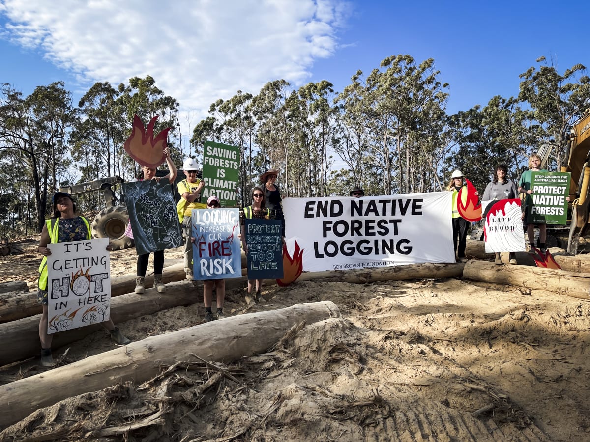 A protest Takesa Frank organised and attended in Shallow Crossing State Forest to raise awareness of the bushfire risk posed after logging due to the forest debris left.