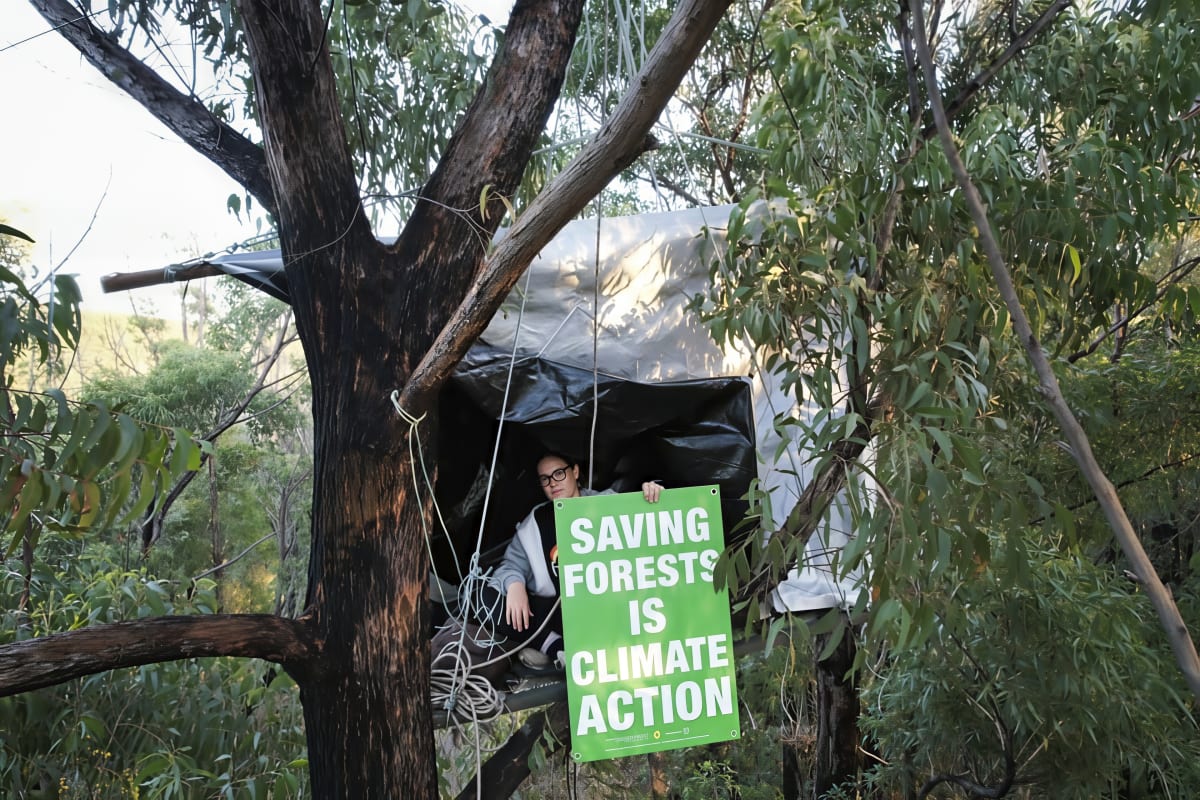 Takesa Frank in the tree sit holding a sign ‘Saving Forests is Climate Action’.