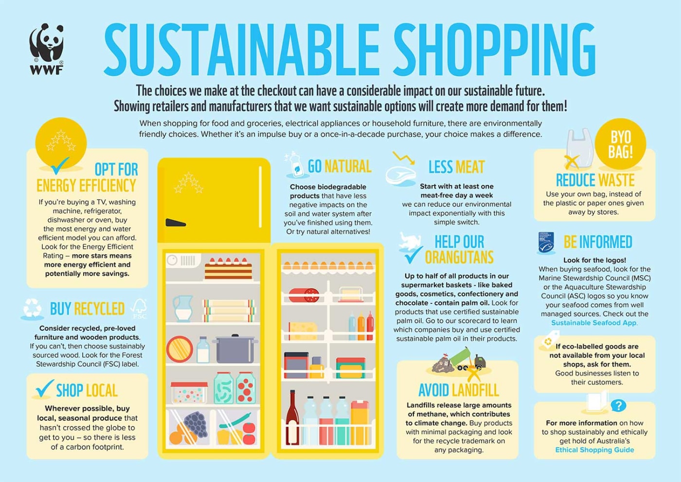 Sustainable shopping infographic