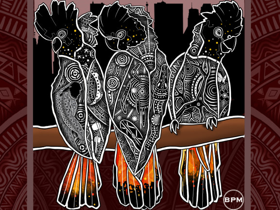 Indigenous Glossy Black Cockatoo Art Wallpaper from Beau Pennefather-Motlop
