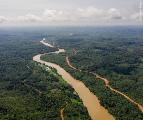 View over river in Central Kalimantan.