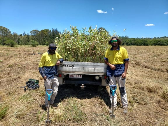 2 people stand in front of a ute filled with young trees on an agricultural property. There are 2 shovels dug into the ground in front of them and dry grassland and trees behind them. Minyumai Rangers assisting with planting trees