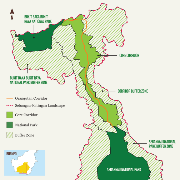 Map of orangutan corridor in Sebangau-Katingan Landscape