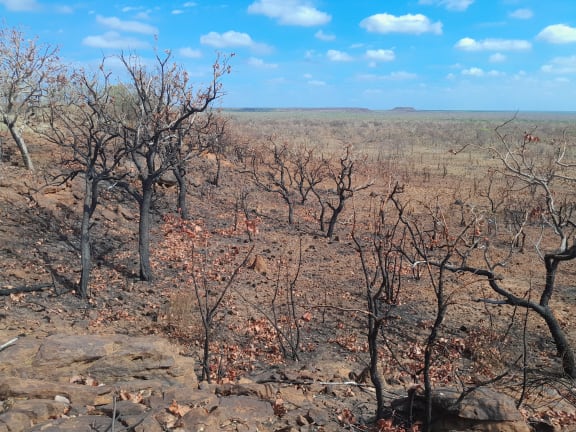 Burnt landscape in the West Kimberley