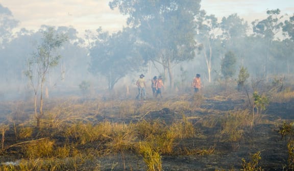 Cultural burn workshop attendees inspect the landscape immediately following a cultural burn on Jervoise Station