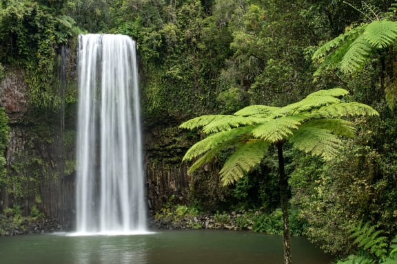 Millaa Millaa falls, Qld