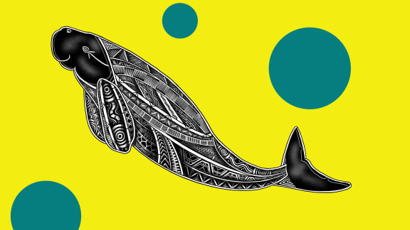 Dugong; Balangal (Jirrbal); Dangal (Zenadth Kes).