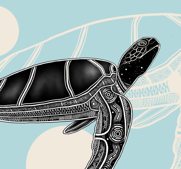 Celebrate sacred ocean species with these very special Indigenous art ...