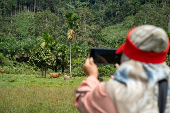 Nayla, a Bataknese Indigenous photographer and facilitator photographs local wildlife.